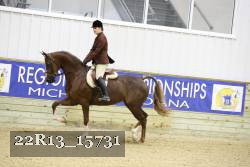 22R13_15731 proof