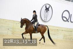22R13_15733 proof