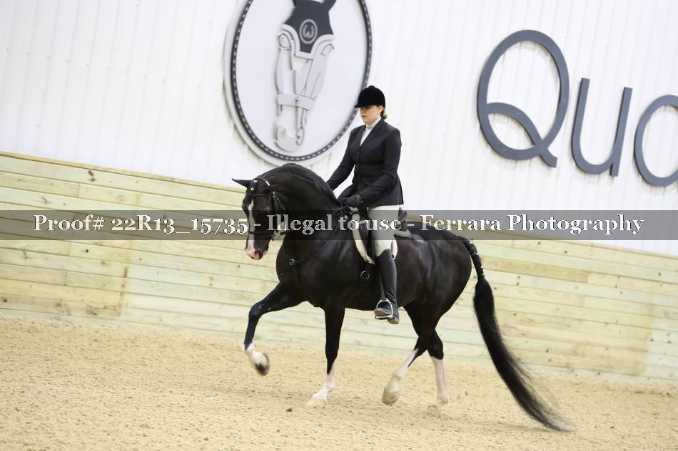 Proof 22R13_15735