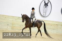 22R13_15741 proof
