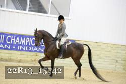 22R13_15742 proof