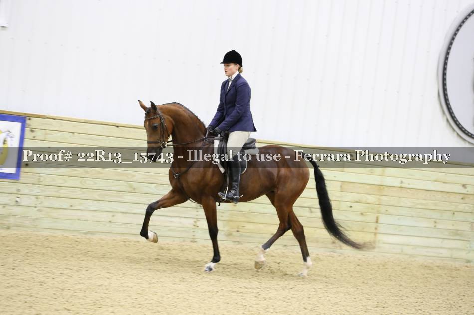 Proof 22R13_15743