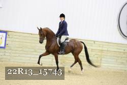 22R13_15743 proof