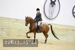 22R13_15744 proof
