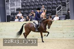 22R13_15753 proof