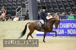 22R13_15754 proof