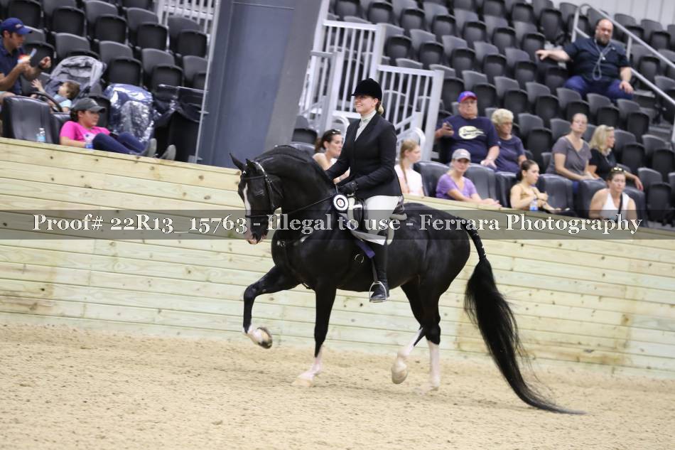 Proof 22R13_15763