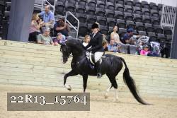 22R13_15764 proof