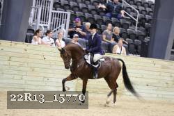 22R13_15770 proof