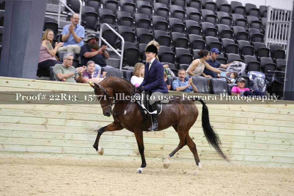 Proof 22R13_15771