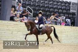 22R13_15771 proof