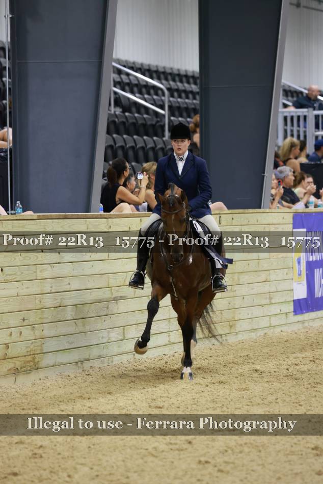 Proof 22R13_15775