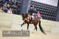 22R13_15776 proof