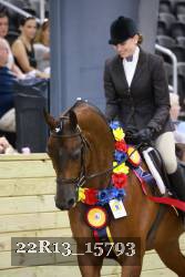 22R13_15793 proof