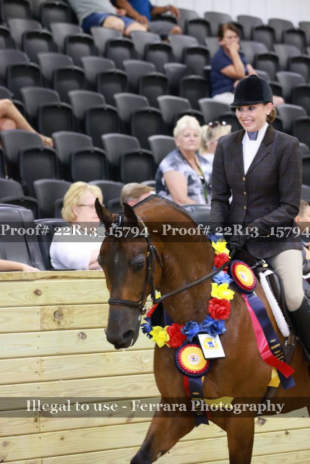 Proof 22R13_15794