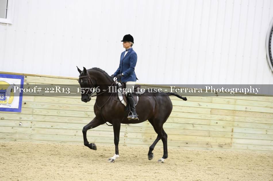 Proof 22R13_15796