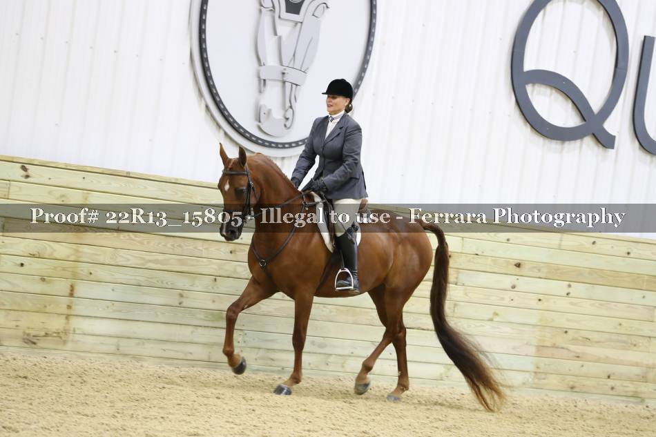 Proof 22R13_15805