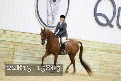 22R13_15805 proof