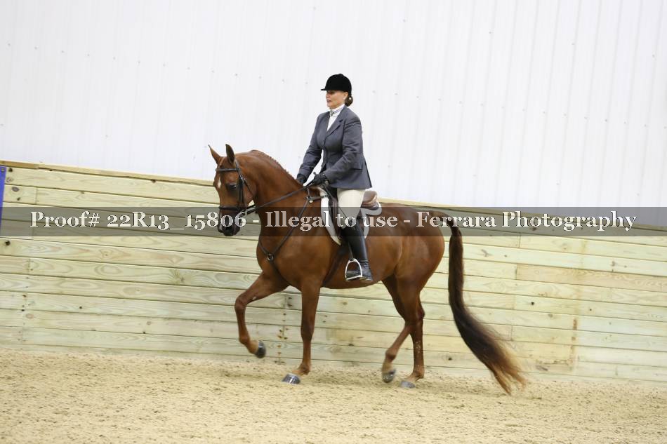 Proof 22R13_15806