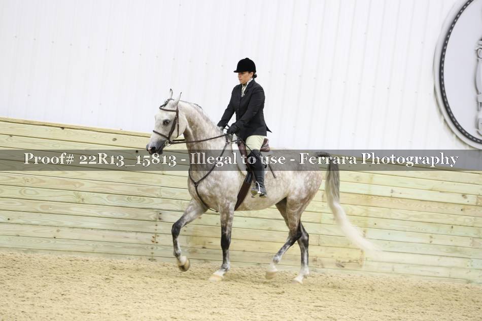 Proof 22R13_15813