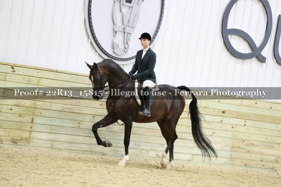Proof 22R13_15815