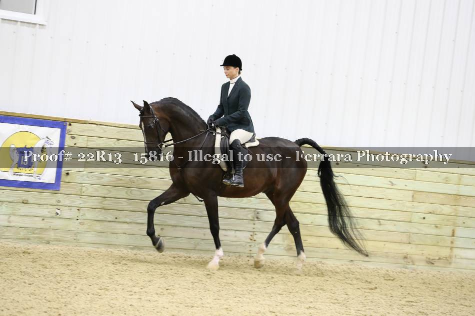 Proof 22R13_15816