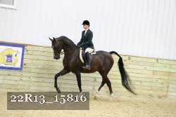 22R13_15816 proof