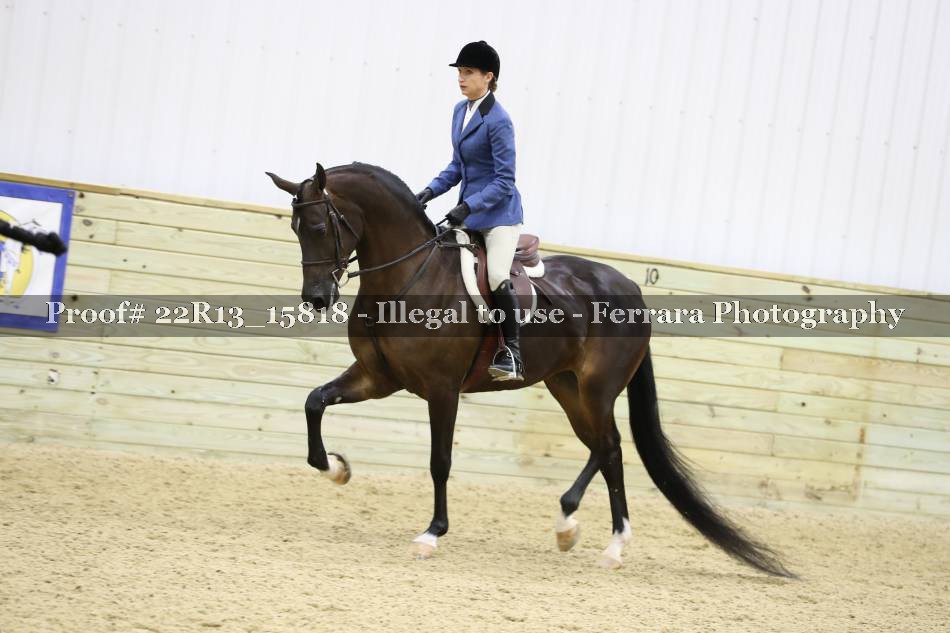 Proof 22R13_15818