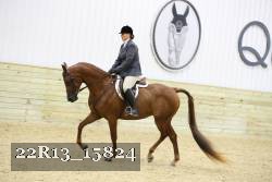 22R13_15824 proof