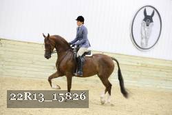 22R13_15826 proof