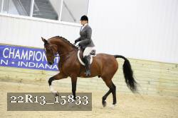 22R13_15833 proof