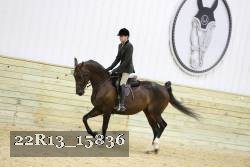 22R13_15836 proof