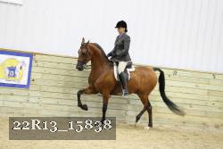 22R13_15838 proof