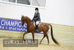 22R13_15842 proof