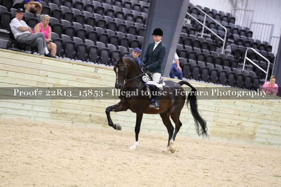 Proof 22R13_15853