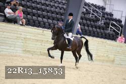 22R13_15853 proof