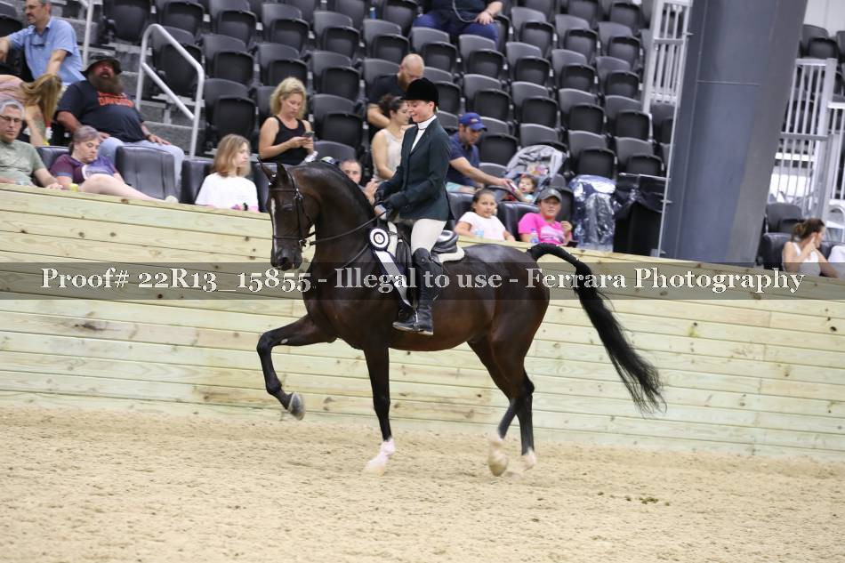 Proof 22R13_15855