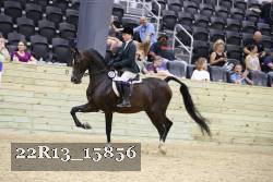 22R13_15856 proof