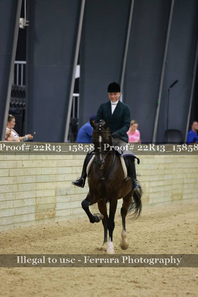 Proof 22R13_15858