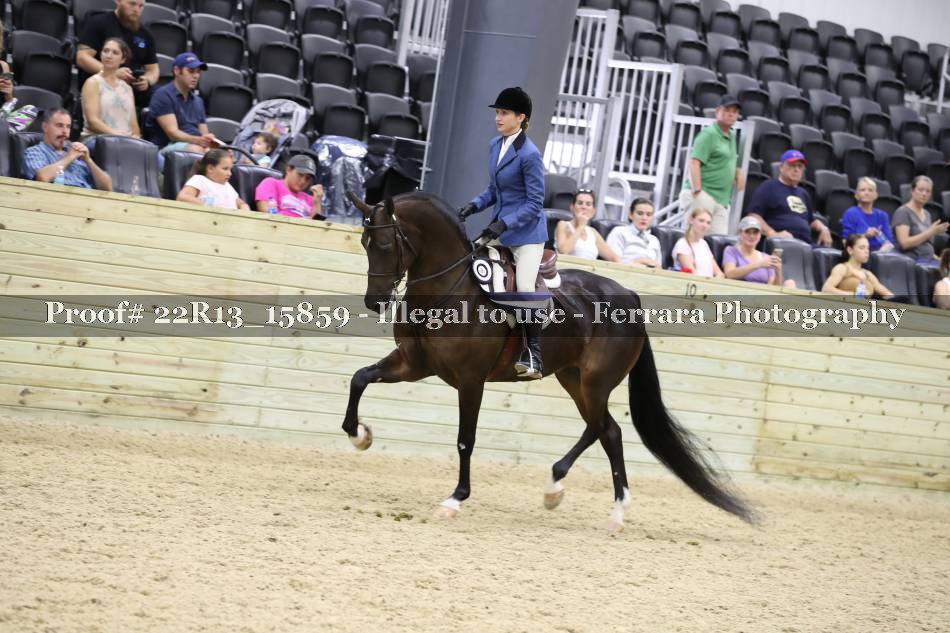 Proof 22R13_15859