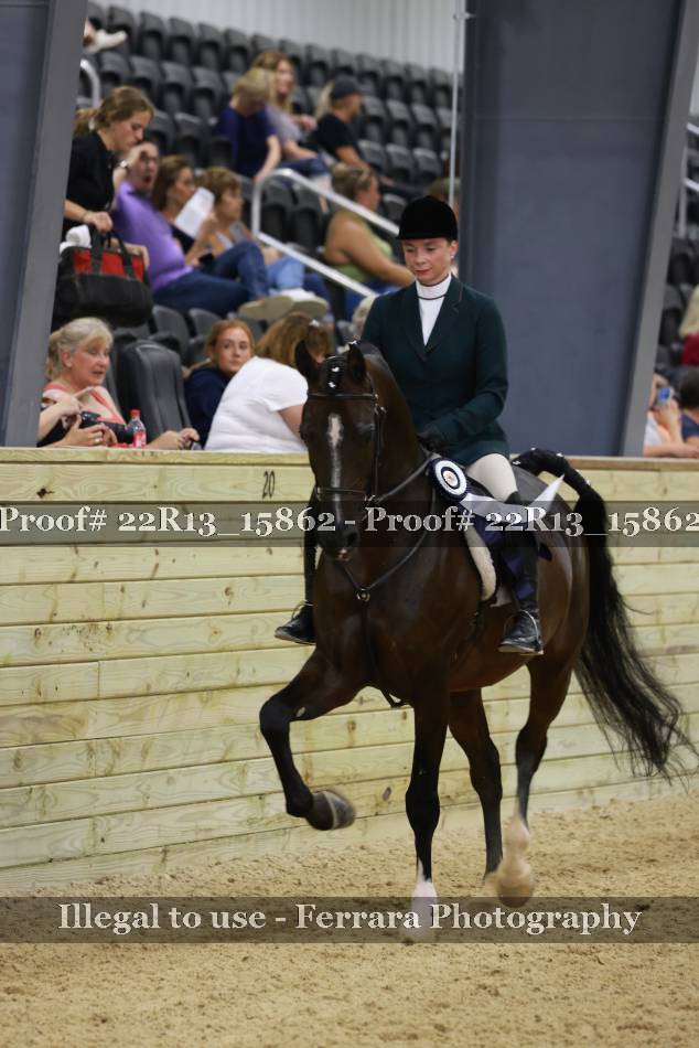 Proof 22R13_15862