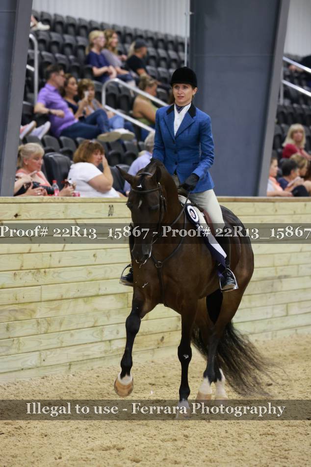 Proof 22R13_15867