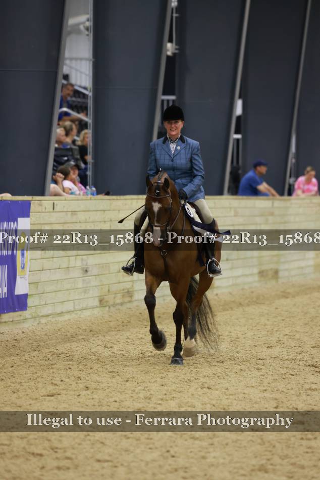 Proof 22R13_15868