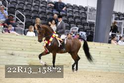22R13_15872 proof