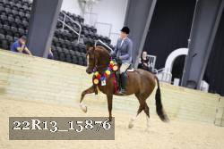 22R13_15876 proof