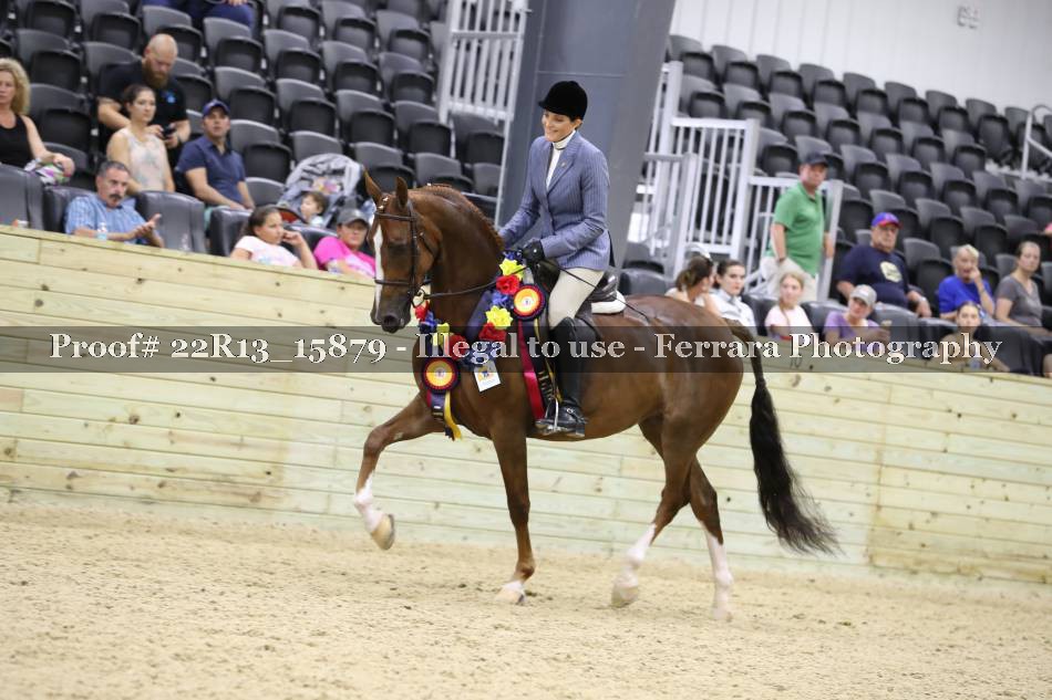 Proof 22R13_15879