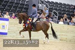 22R13_15882 proof