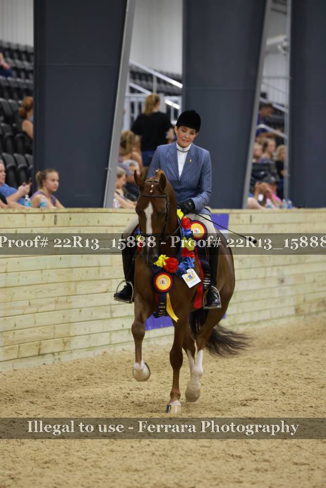 Proof 22R13_15888