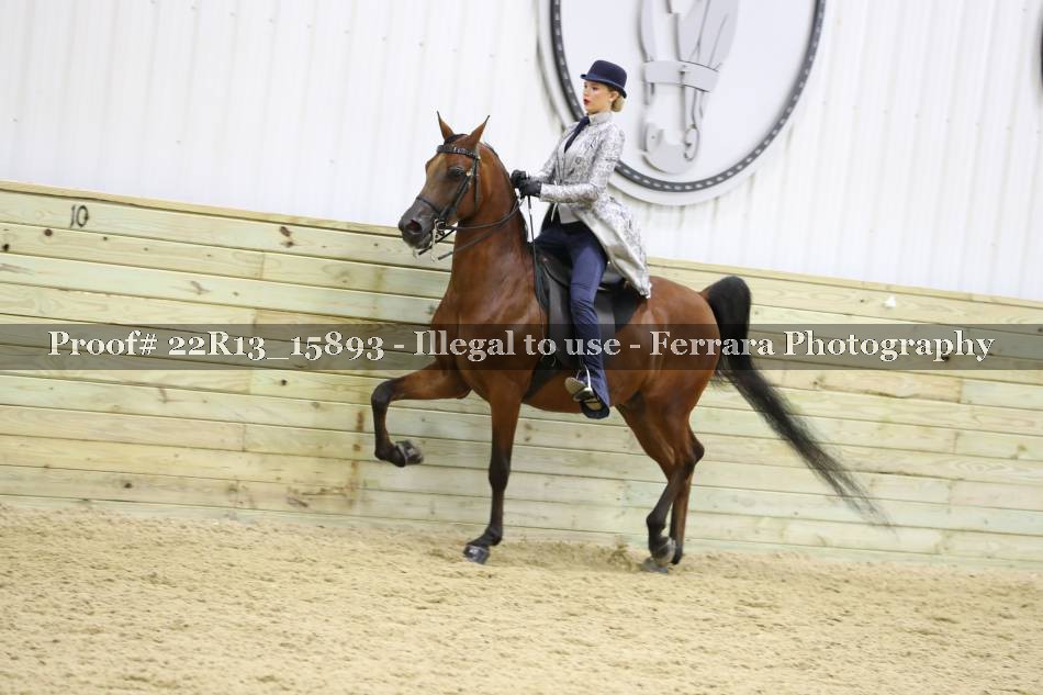Proof 22R13_15893