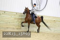 22R13_15893 proof